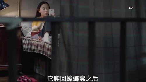 三姐爆料视频大全下载